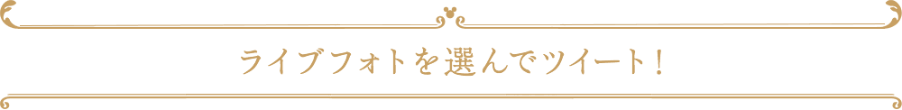 ライブフォトを選んでツイート!